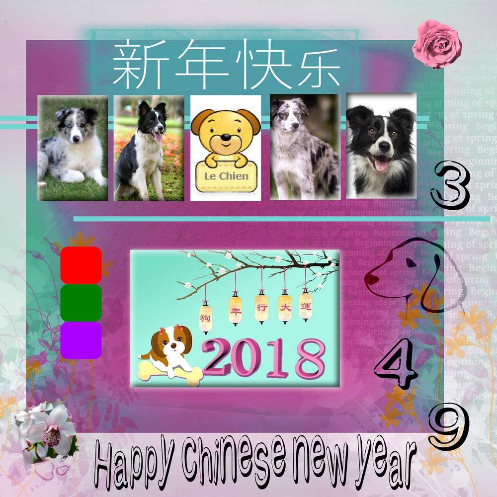 Nouvel an chinois 2018