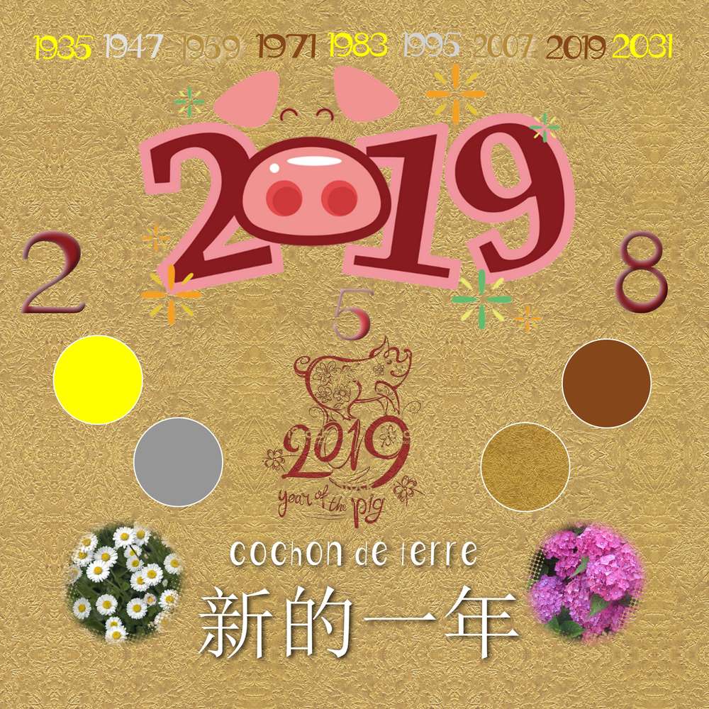 Nouvel an chinois 2019