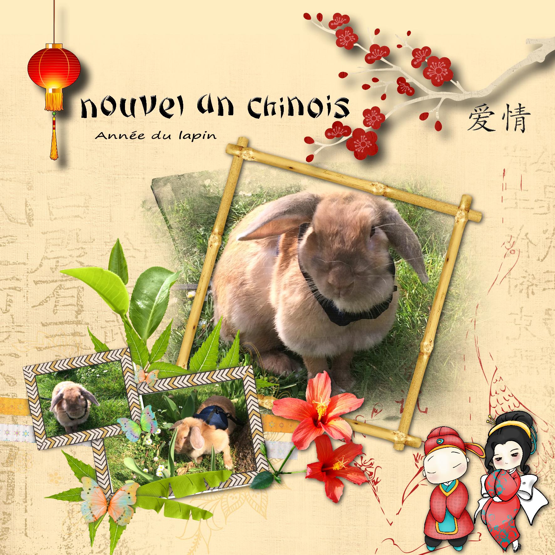 nouvel an chinois.jpg