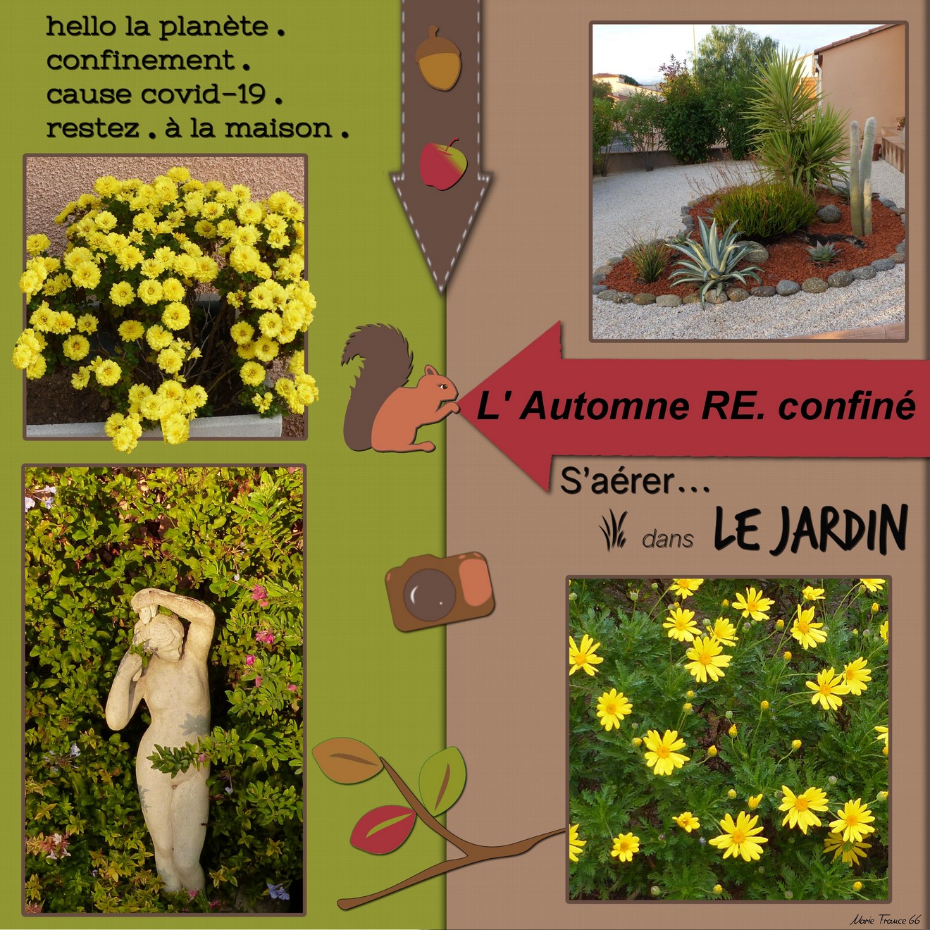 nouvelles aventures chez soi .1.jpg