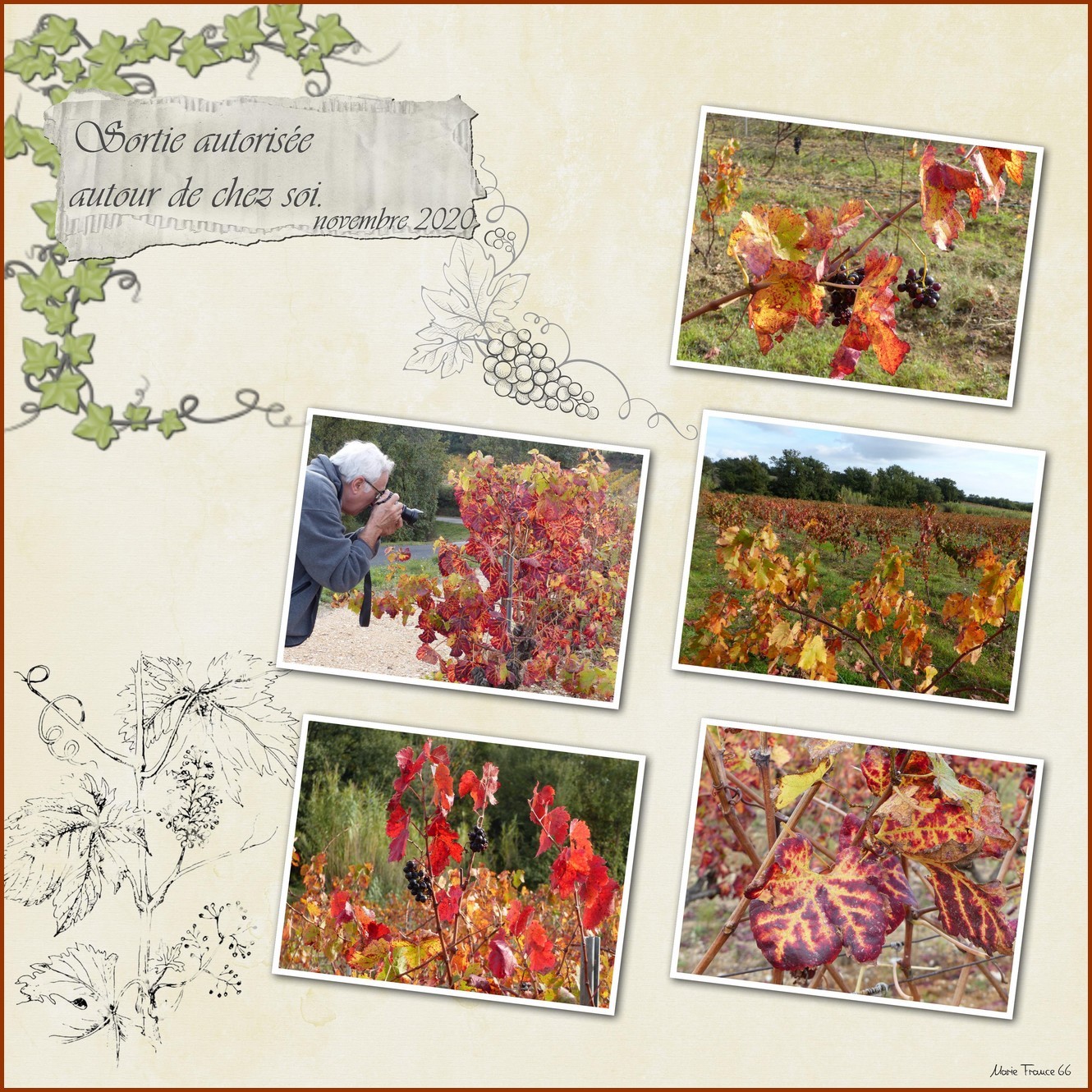 nouvelles aventures chez soi .1.jpg