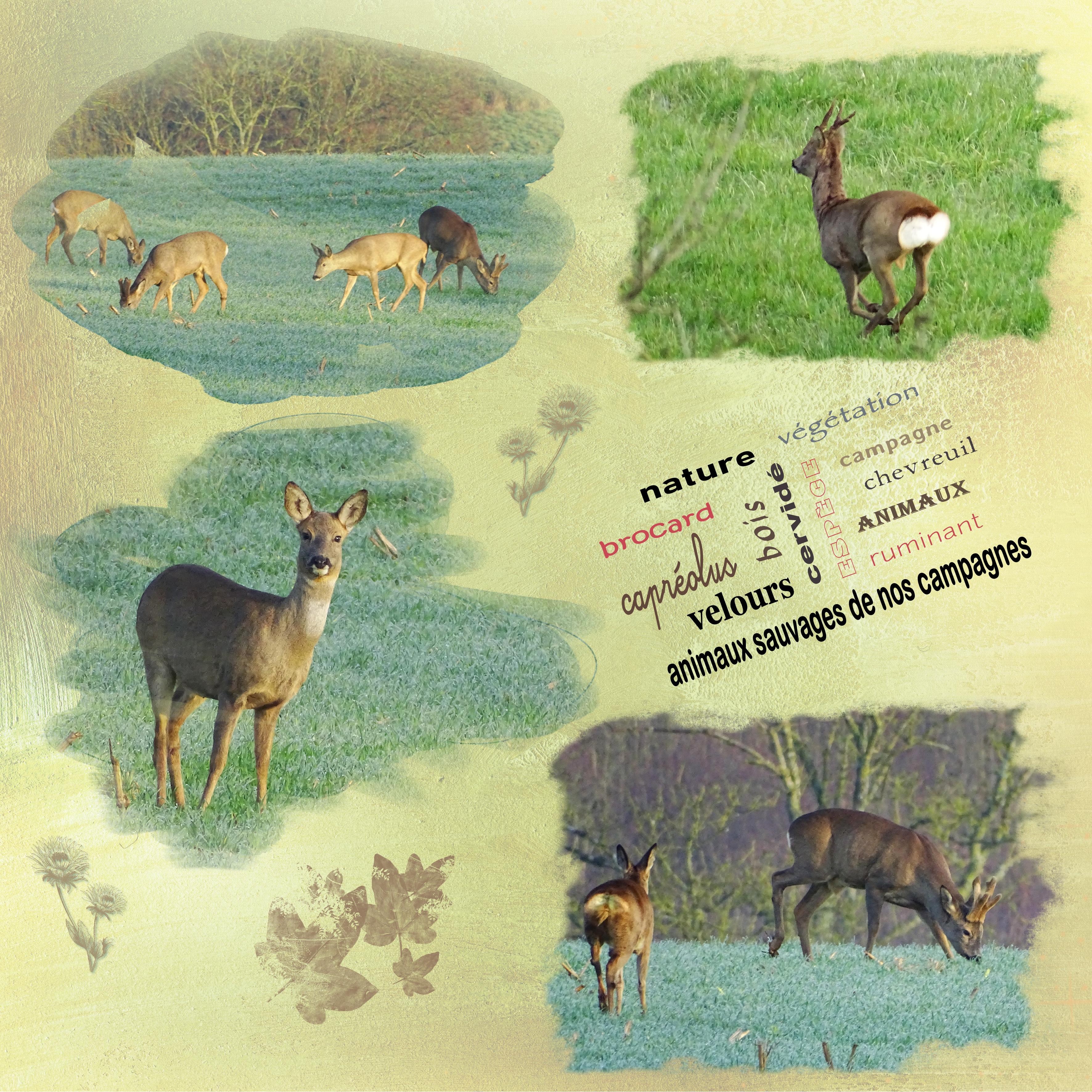 Nuage de mots - février 2022