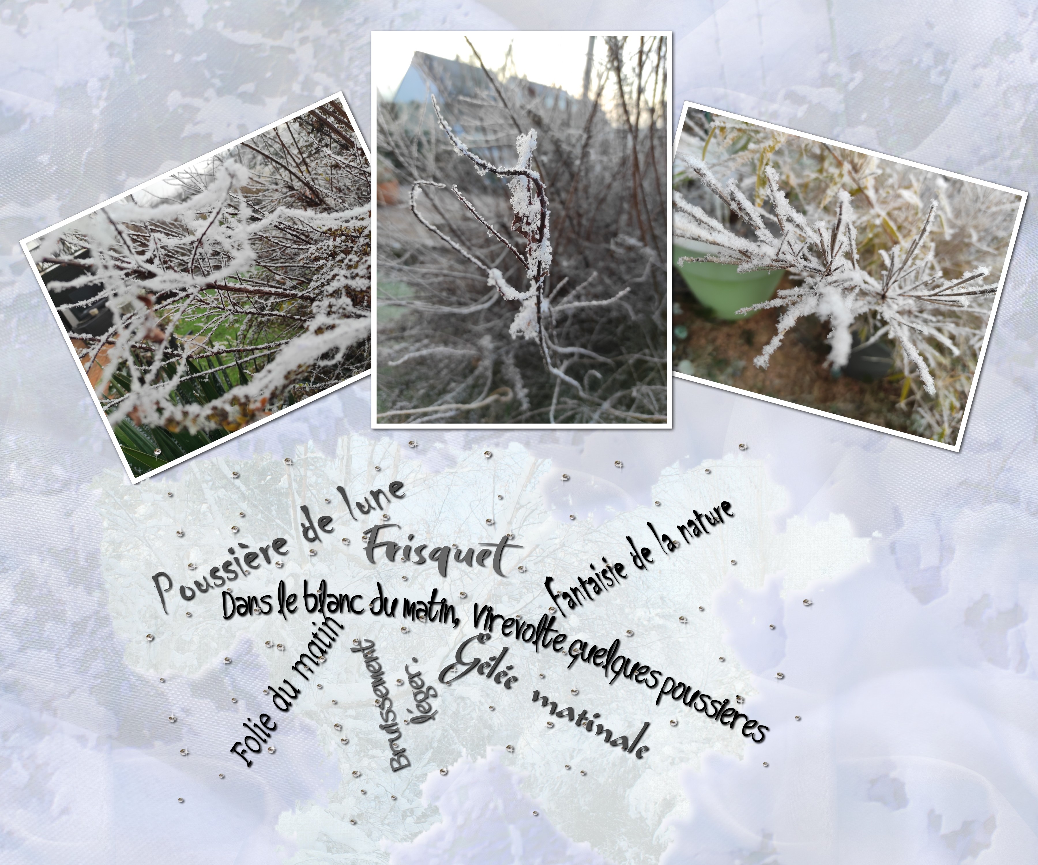 nuage de mots (page 1).jpg