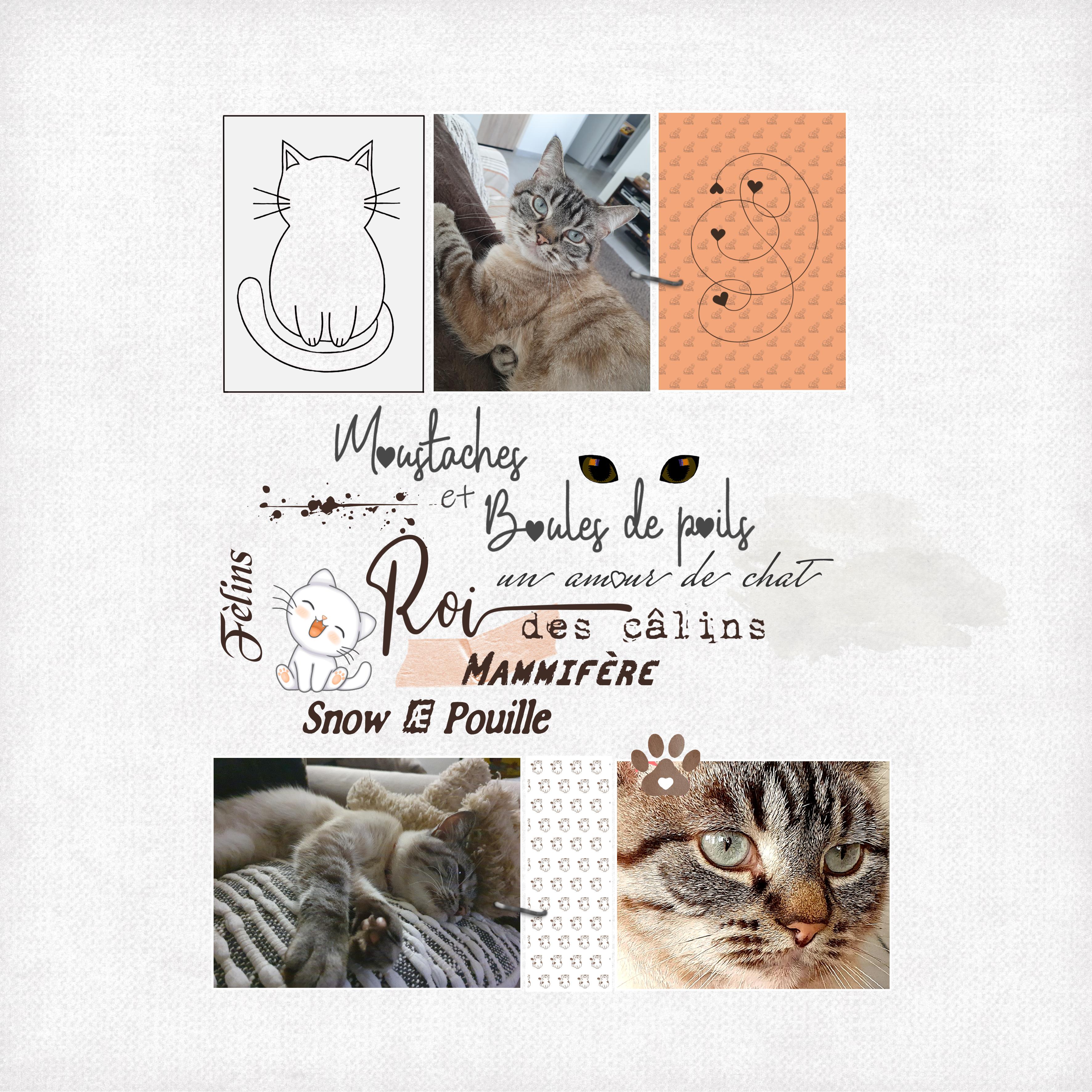 nuage et mots SNOW..