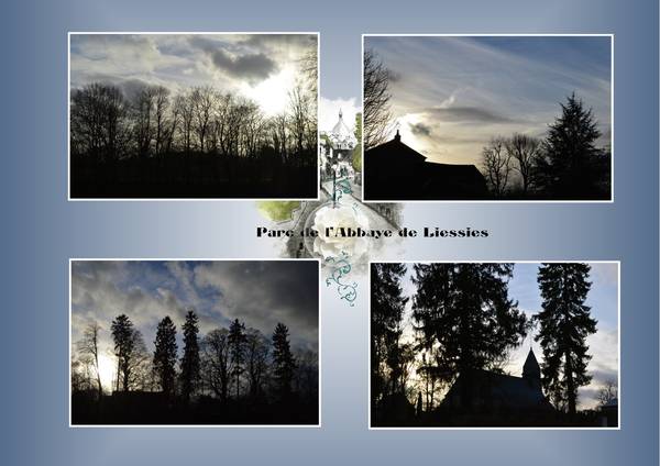 Nuances_de_bleu____Liessies