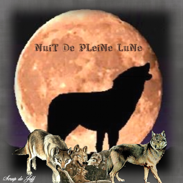 Nuit de pleine lune