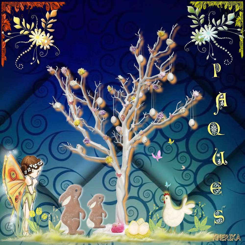 Nuit_myst__rieuse_de_p__ques__12_04_2019_OK