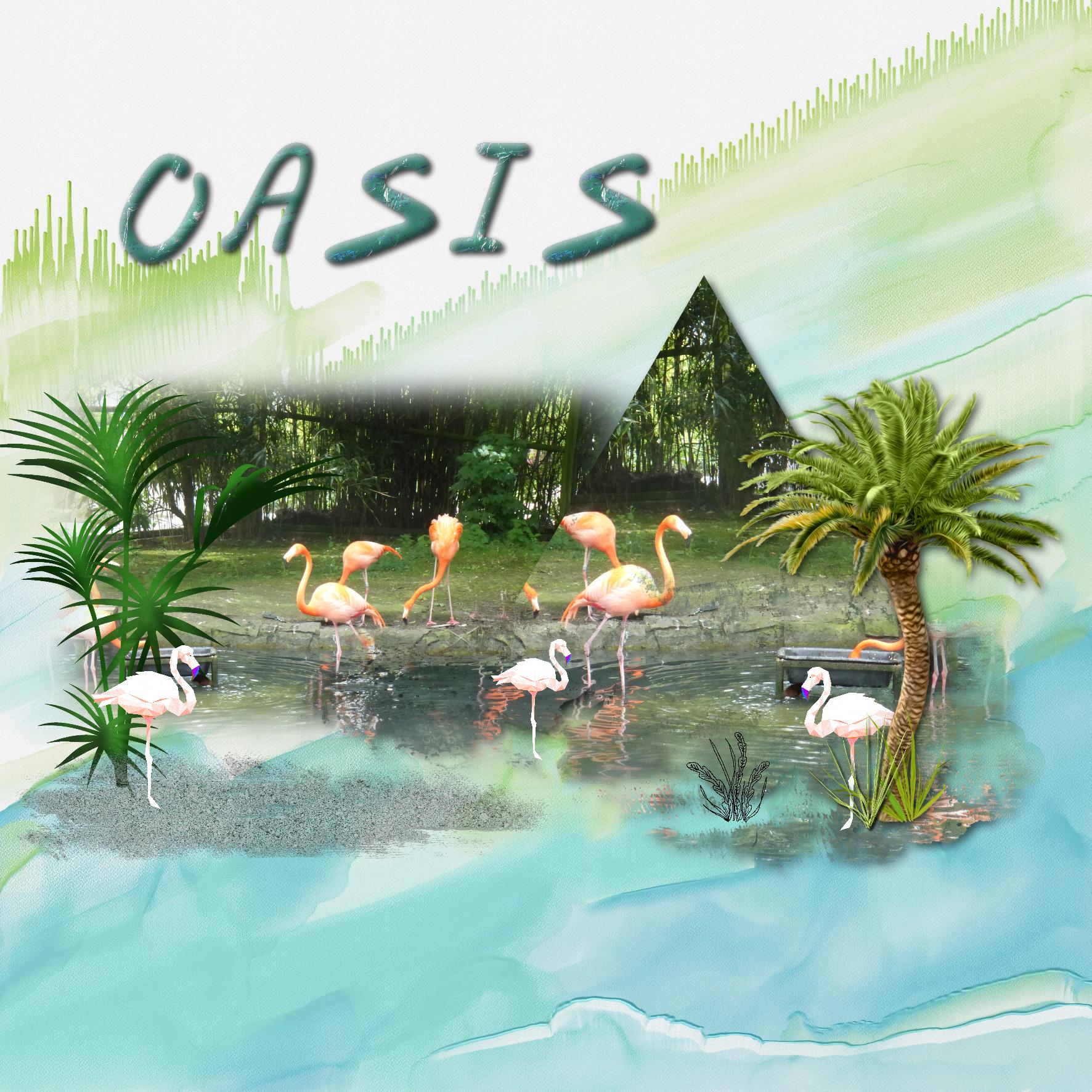 oasis.jpg