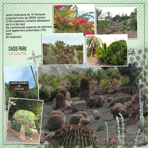 OASIS_PARK_JARDIN_CACTUS
