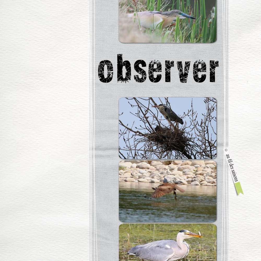 observer