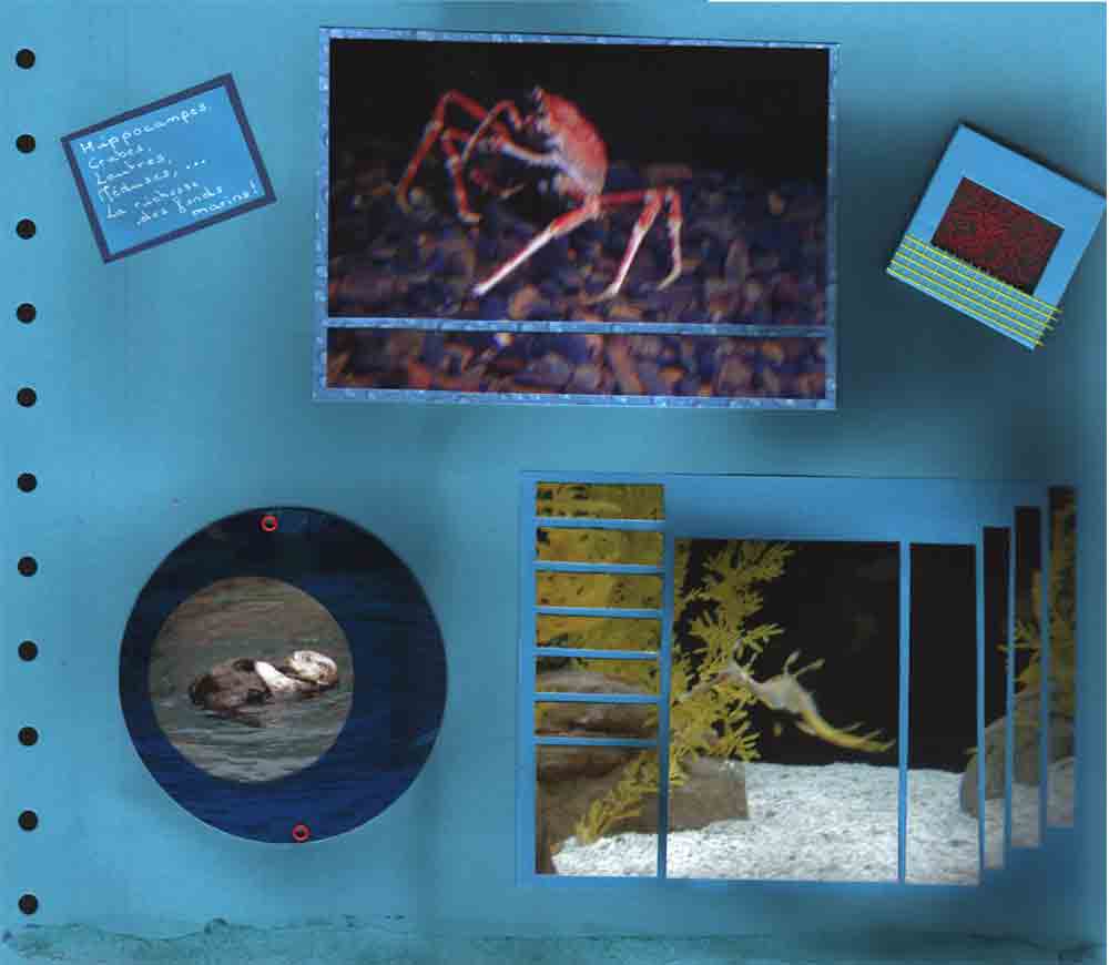 Océanorium Lisbonne 3