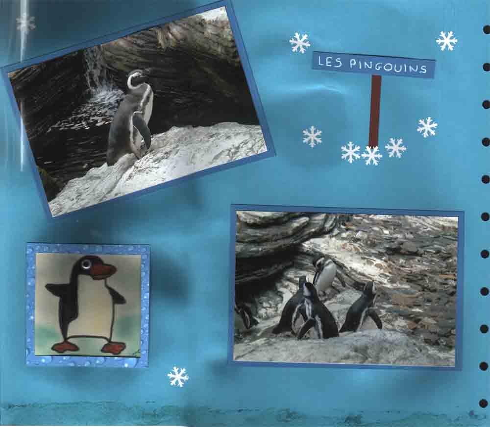 Océanorium Lisbonne 4