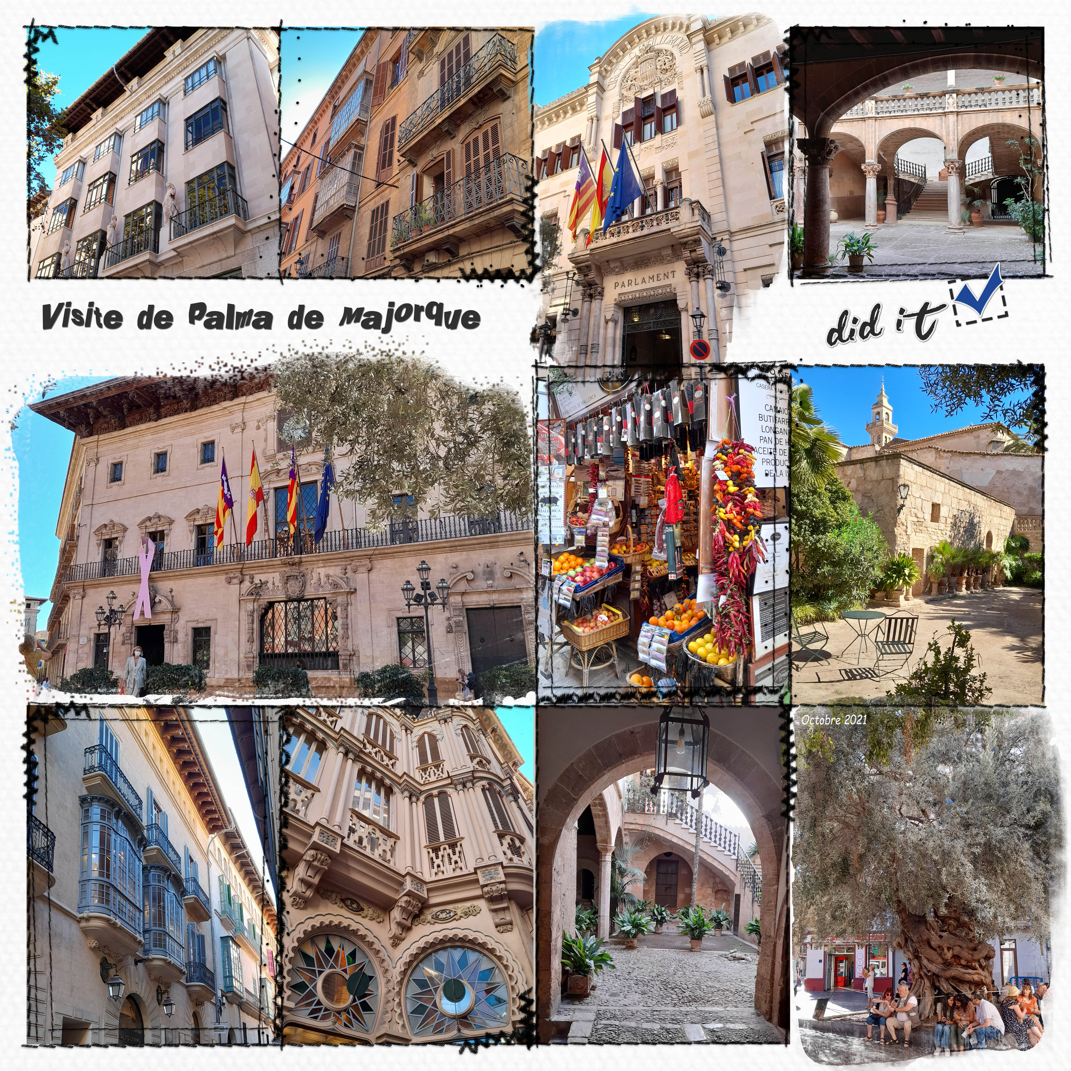 octobre 2021 visite de Palma.jpg