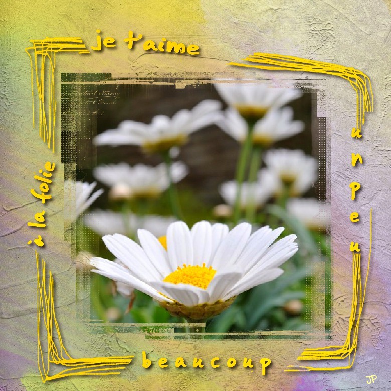 octobre  5 fleurs.jpg