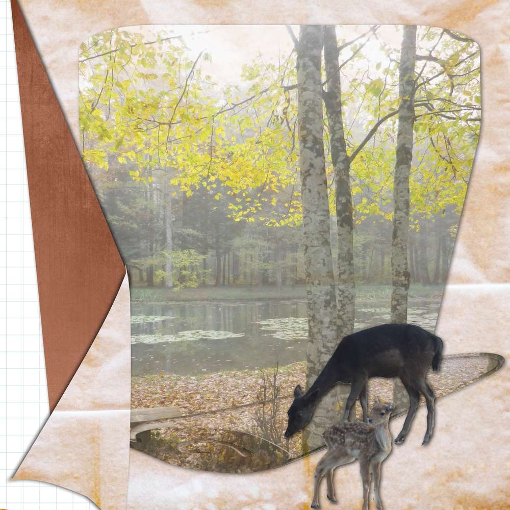 Octobre au bois des Hates