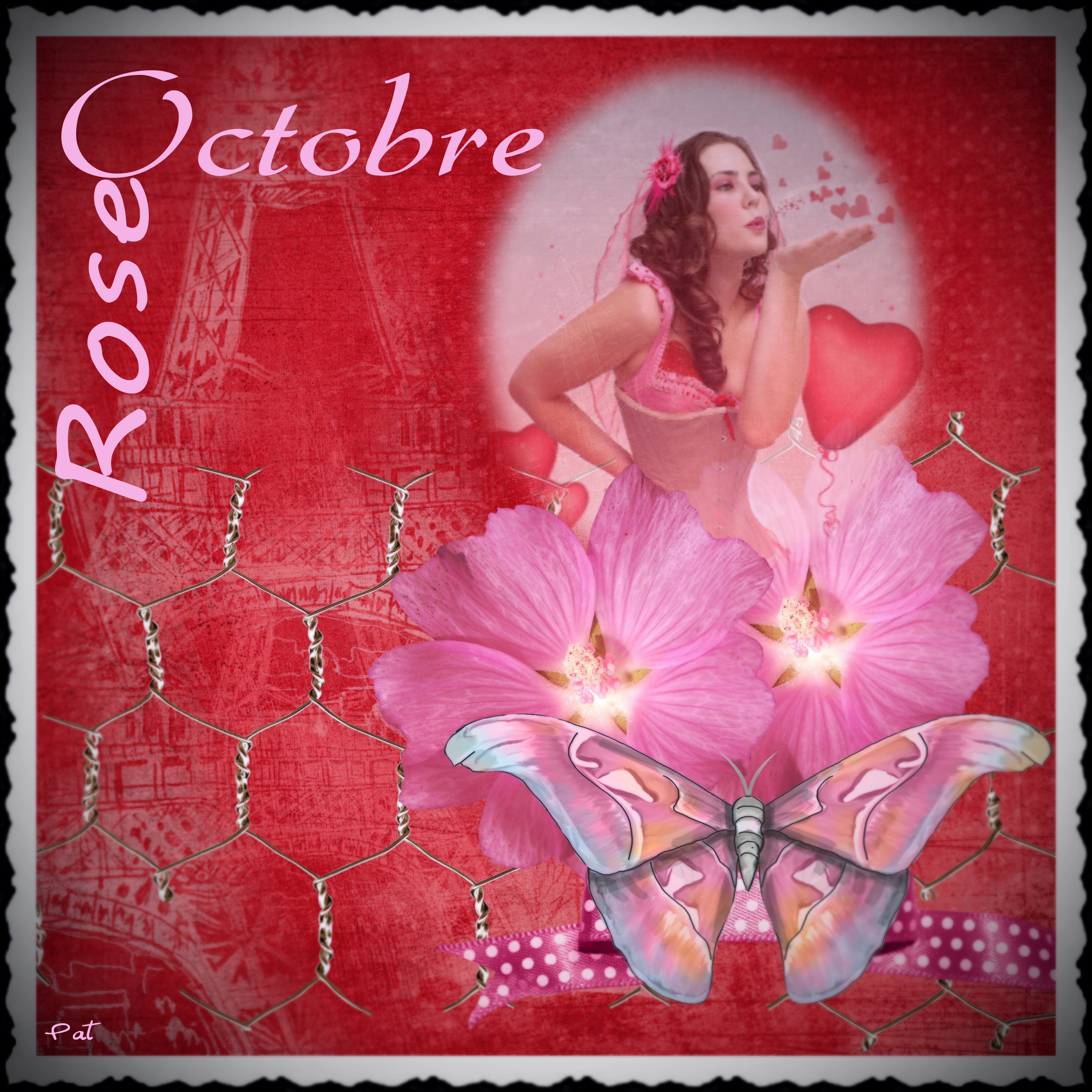 octobre Rose.jpg