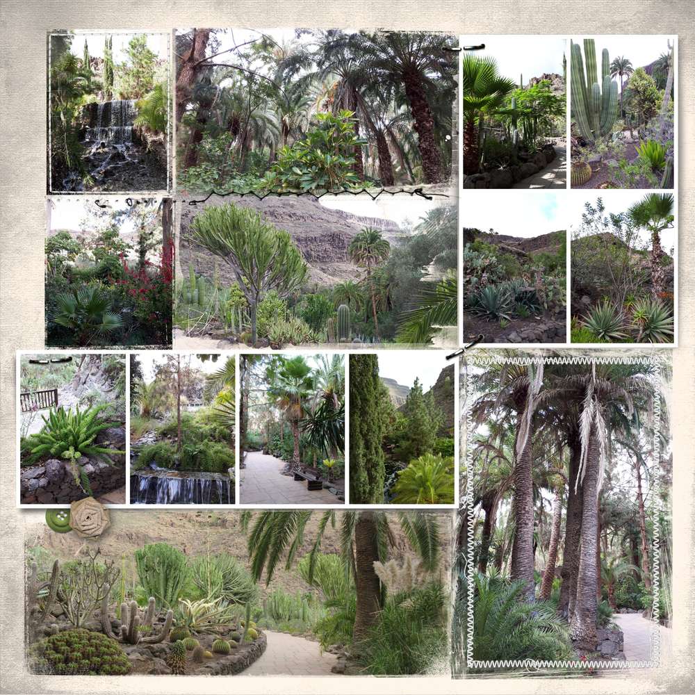 octobre_2018_Grande_Canaries_Palmitos_Park