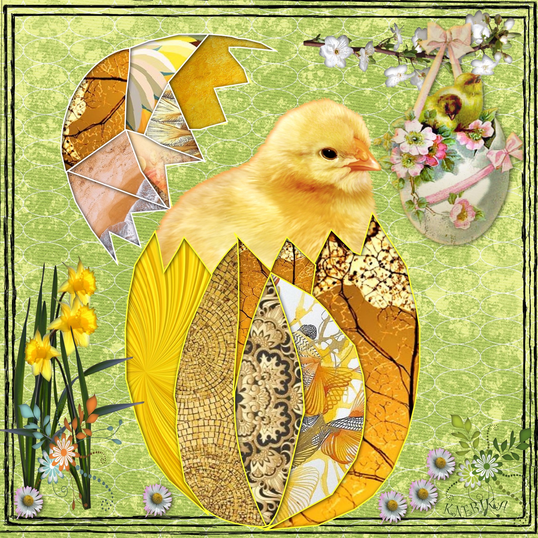 œuf avec poussin, Anne Marie