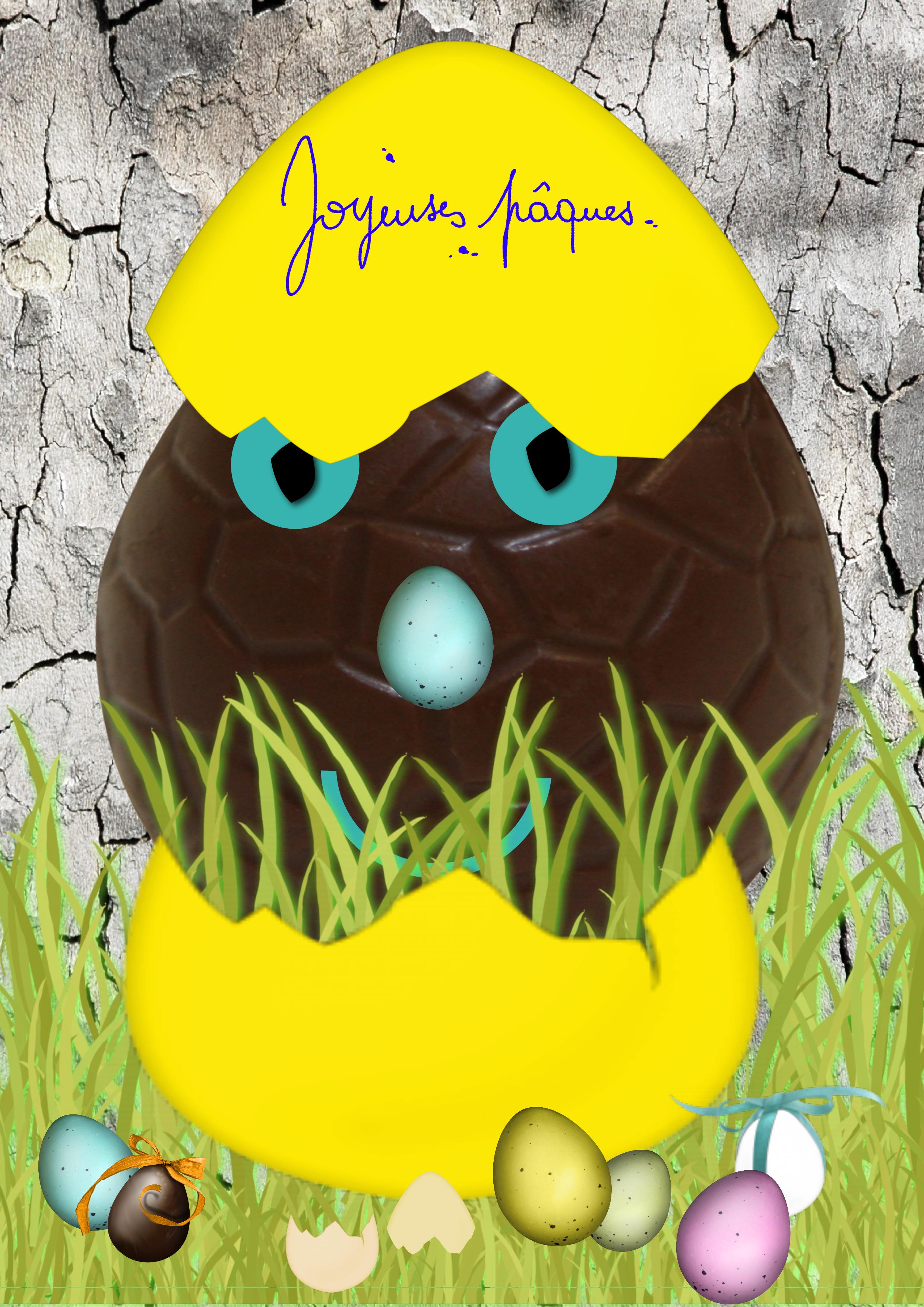 oeuf cassé 2026.jpg