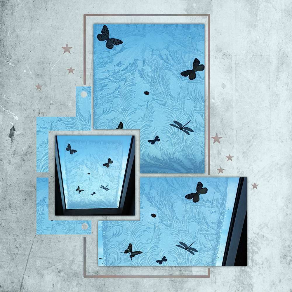 Oeuvre de Dame Nature