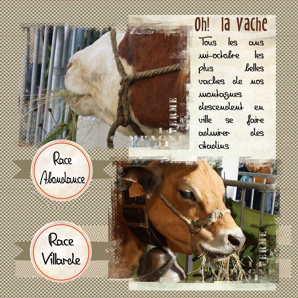 Oh! la vache