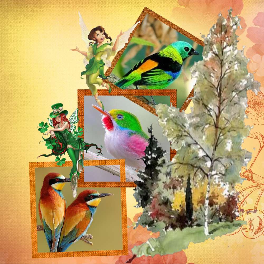 oiseaus et la fôret