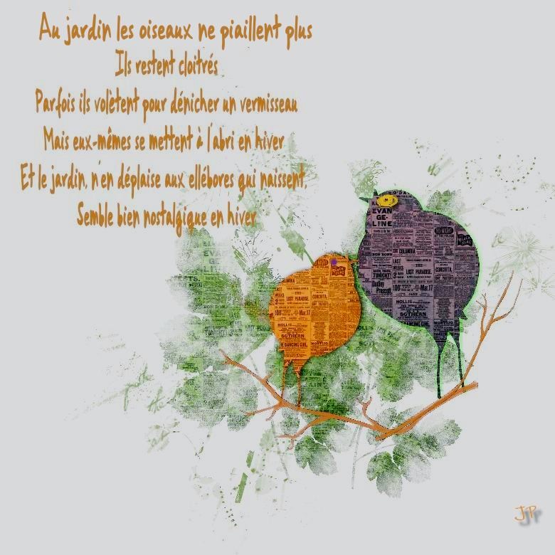 oiseaux jardin.jpg