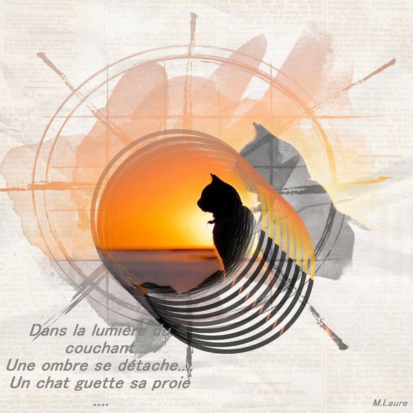 Ombre chinoise .......