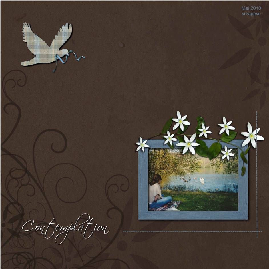 Ombre et lumière, contemplation