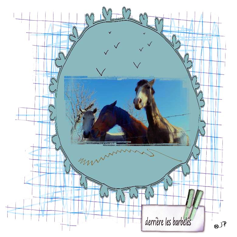 on attend les marcheurs derriere nos barbelés.jpg