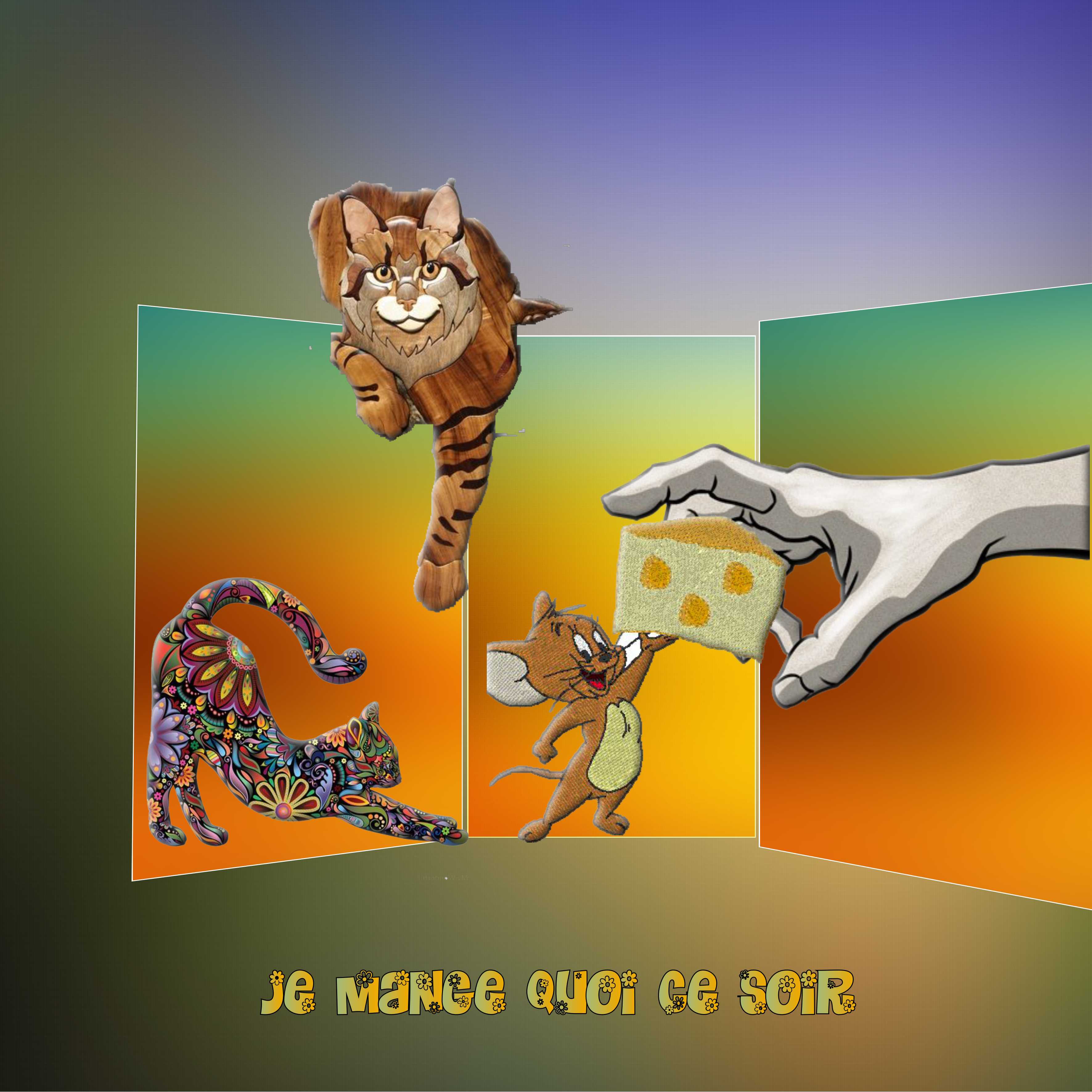 on mange quoi ce soir.jpg