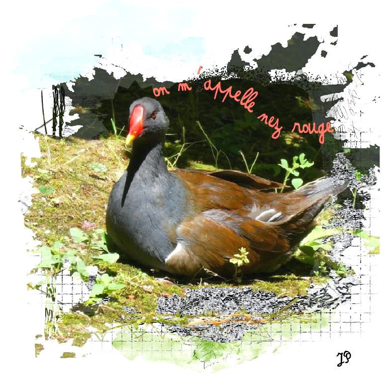 on m'appelle nez rouge.jpg