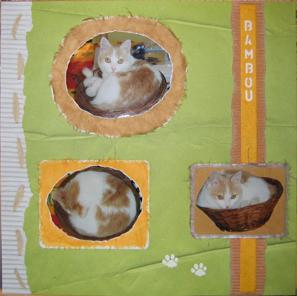 On parie que je rentre dans ce panier... Et voilà !