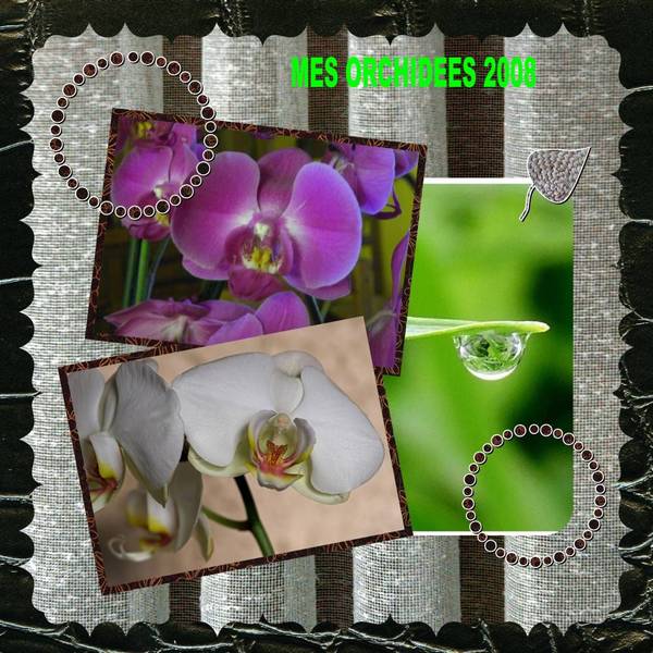 orchid