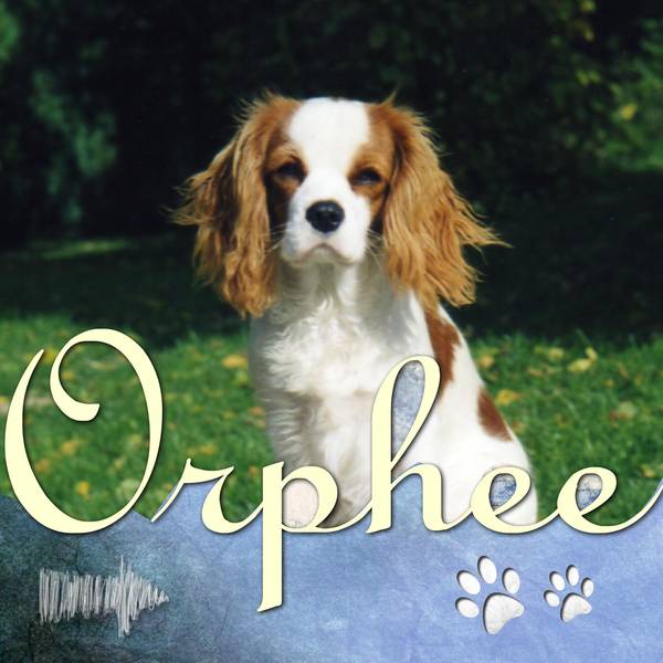 Orph__e2