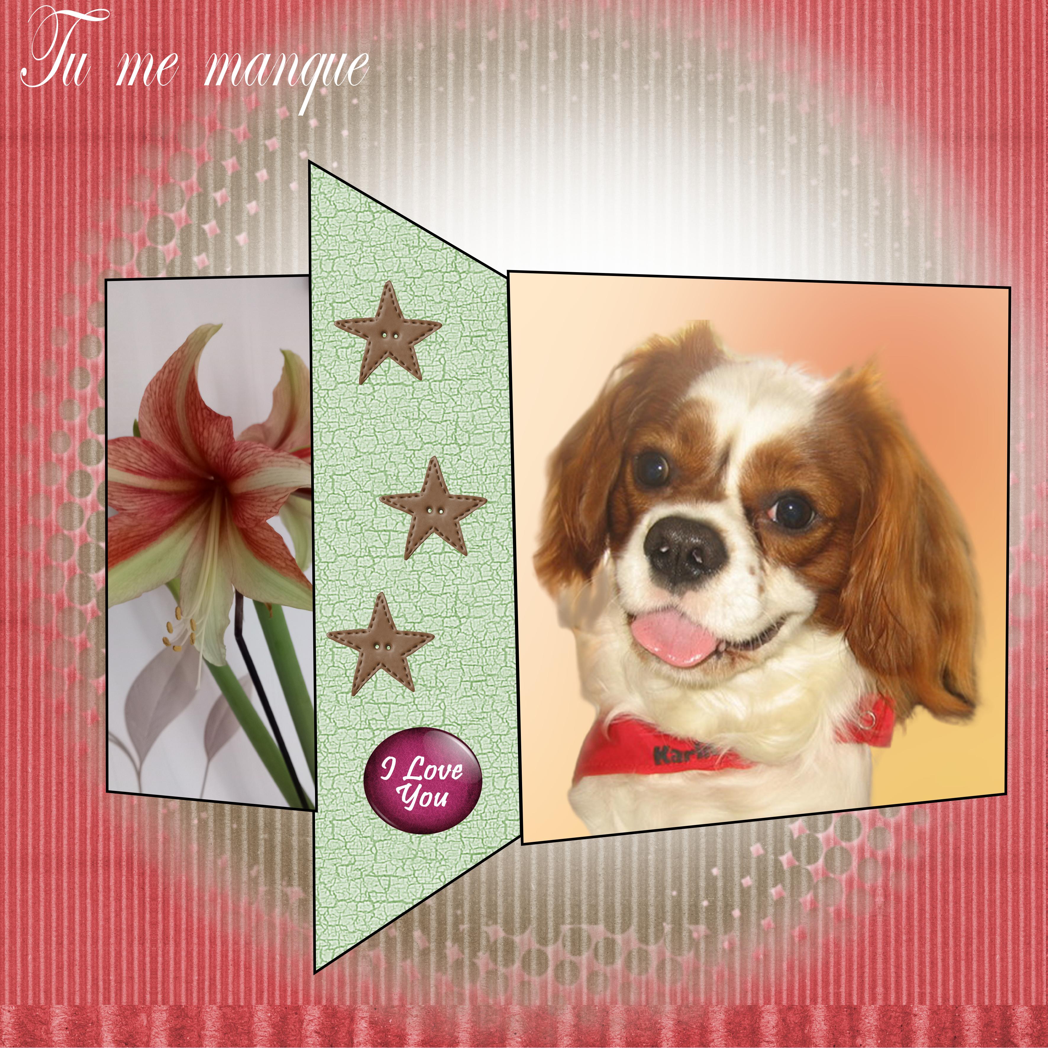 ou  est tu  mon  floyd.jpg