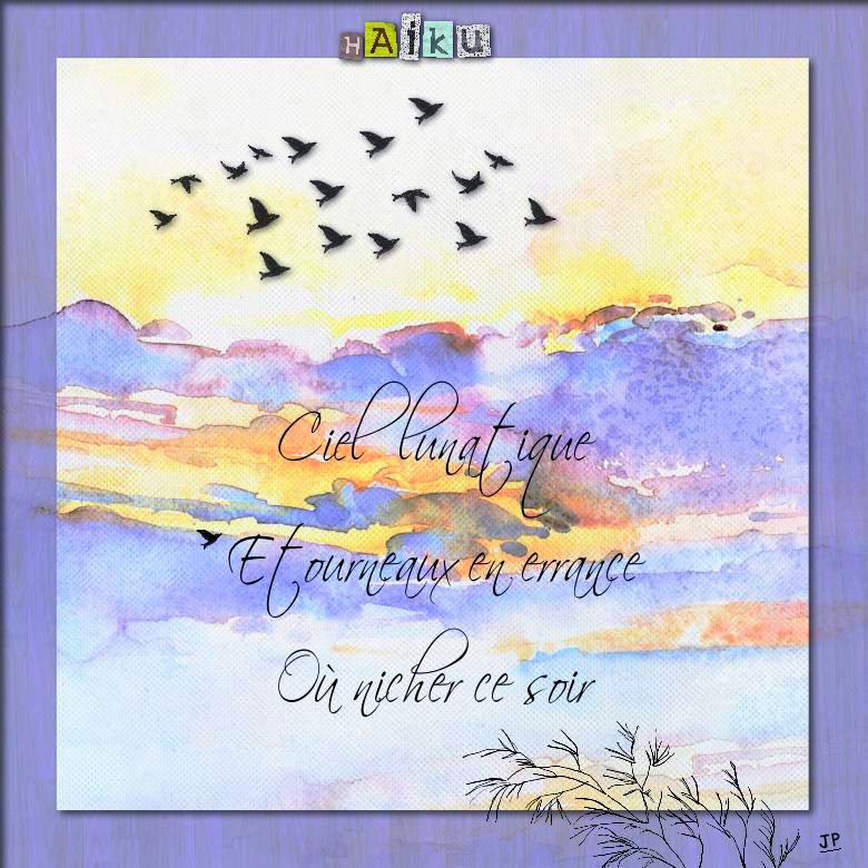 où nicher ce soir.jpg