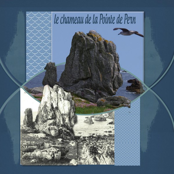 OUESSANT - le chameau
