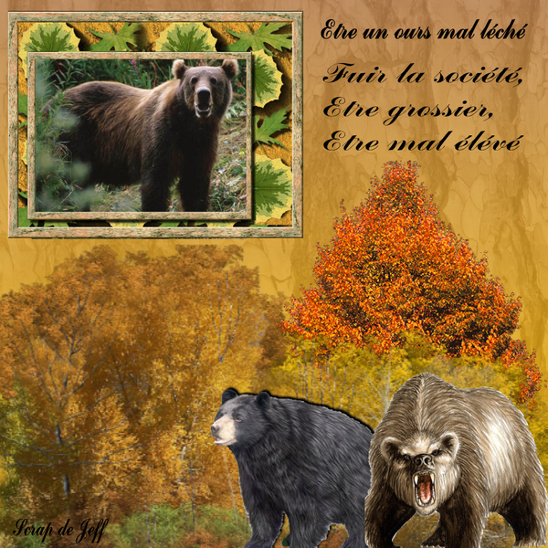 Ours Mal léché.