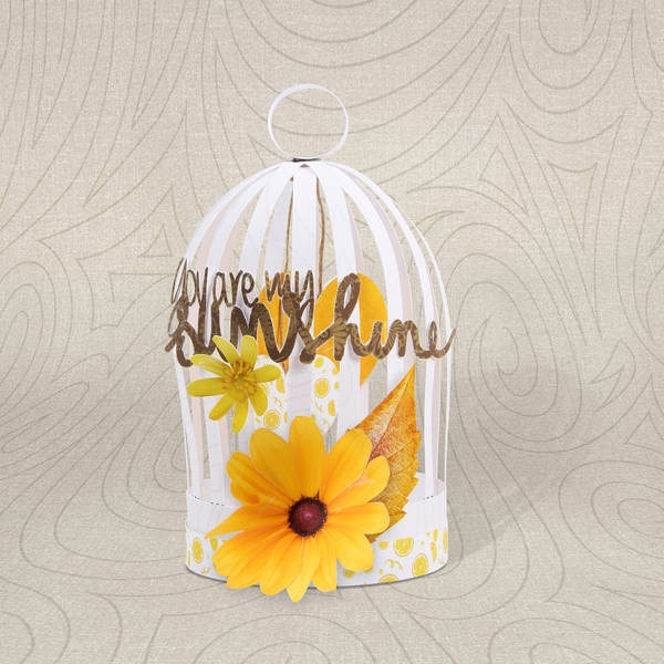 Ouvrez, ouvrez la cage aux oiseaux...