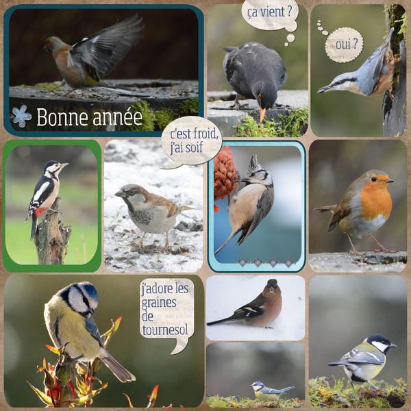 P__le_m__le_bonne_ann__e