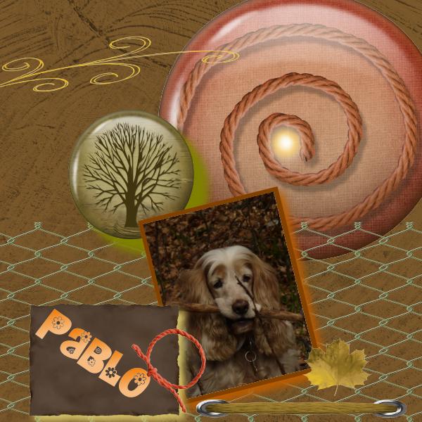Pablo bien sûr..