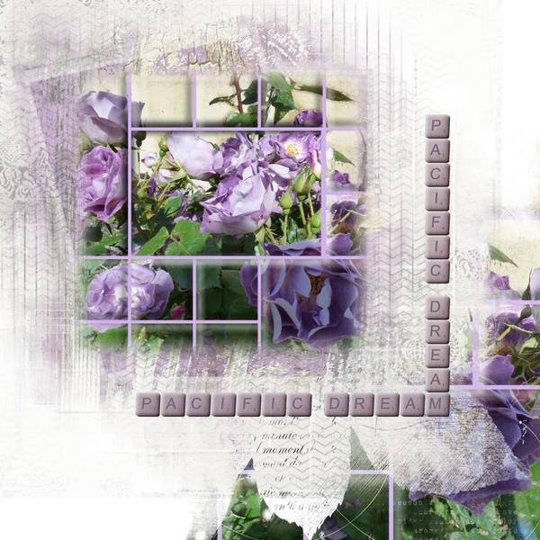 pacific dream Mosaïque