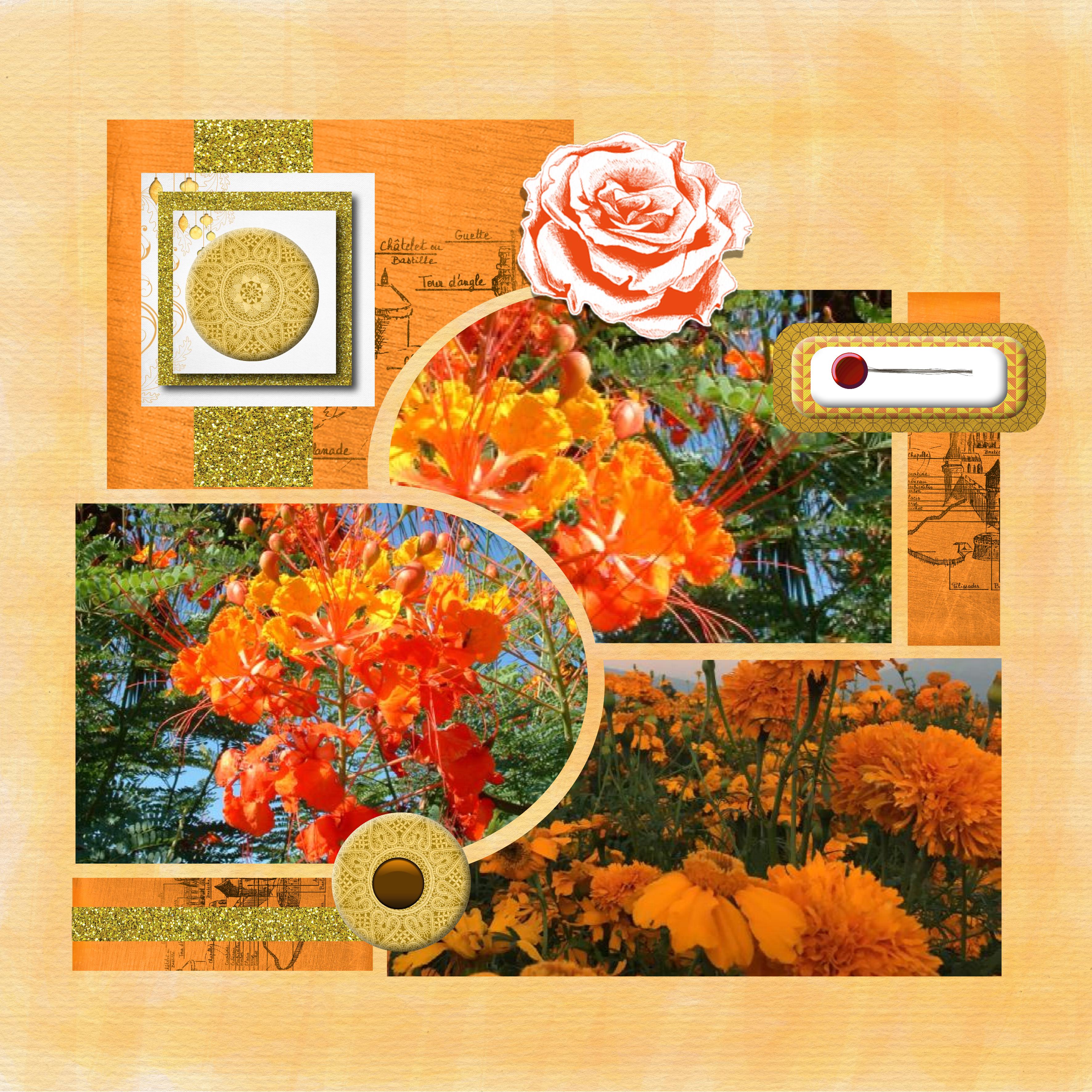 pack azza orange.jpg