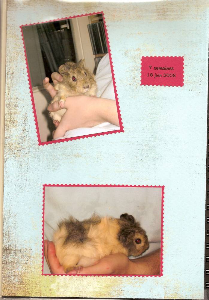 page 004 - lola bébé