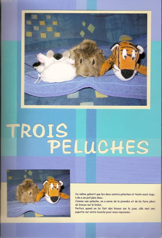 page 023 - trois peluches