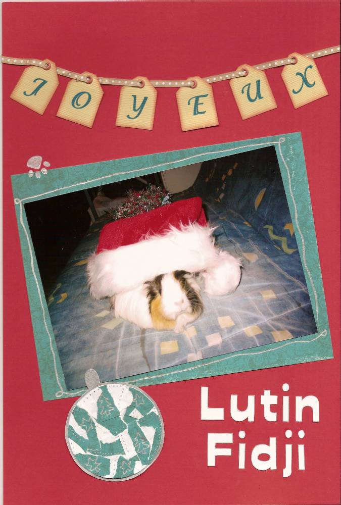 page 040 - Lutin Fidji