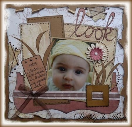 page look http://scrapinfin.canalblog.com/