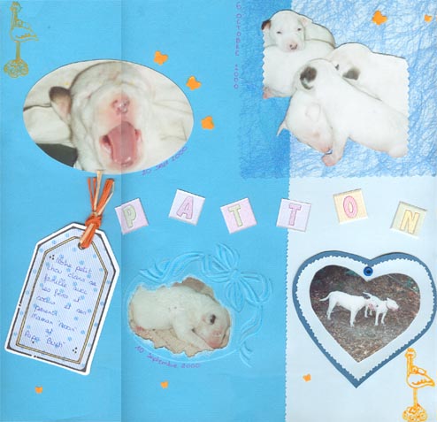 Page naissance de Patton