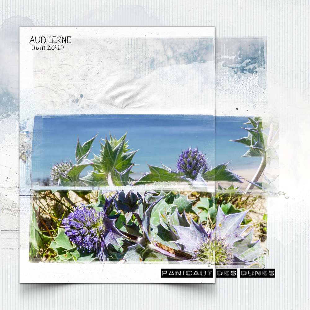 page pour un challenge PBS